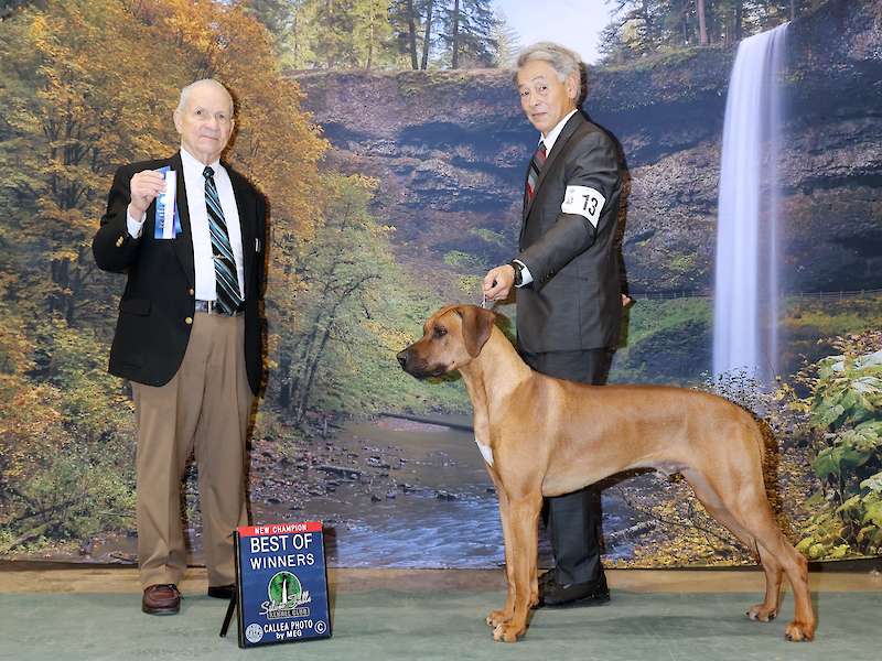 Silver Falls Kennel Club - Salem, Oregon